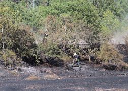 Flaechenbrand Bei Jena 020718 0009